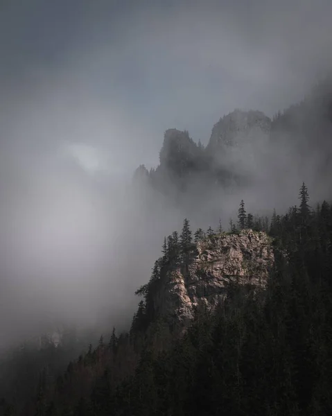 Μια Κάθετη Του Πράσινου Όρη Τάτρα Tatry Wysokie Ομίχλη Που — Φωτογραφία Αρχείου