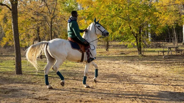 An adult black male in warm clothes riding on a white horse at a ranch