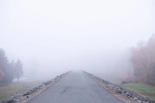 Camino Vacío Bosque Día Niebla —  Fotos de Stock