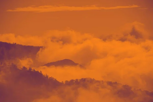 Fascinerande Skog Täckt Moln Orange Solnedgång — Stockfoto