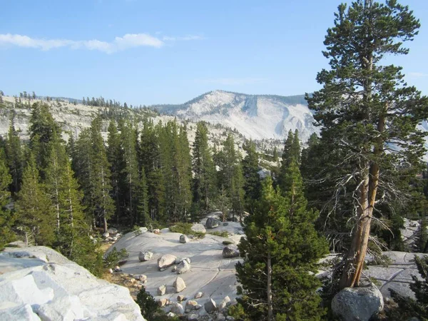 Naturalny Widok Lasu Górskiego Krajobrazu Parku Narodowego Yosemite Kalifornii Usa — Zdjęcie stockowe