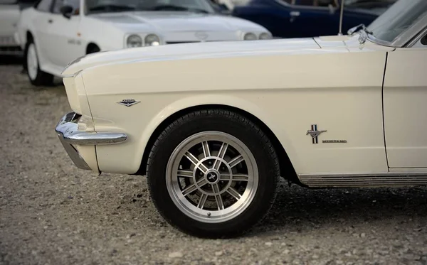 Ein Wunderschöner Weißer Ford Mustang Oldtimer Freier Wildbahn Auf Einer — Stockfoto