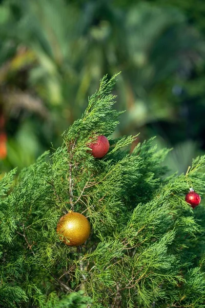 Primer Plano Vertical Árbol Navidad Decorado Con Amarillo Rojo Sobre —  Fotos de Stock