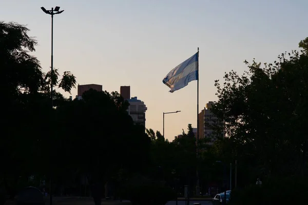 阿根廷国旗在杆子上迎风飘扬 迎着蓝天飘扬 — 图库照片