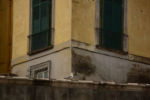 Una Vista Desde Nápoles Italia Con Arquitectura Típica Esa Región — Foto de Stock