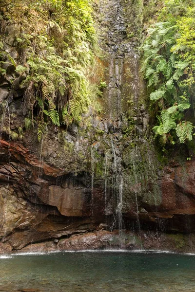 Вертикаль Завораживающих Водопадов Мадейры Водой Протекающей Через Скалистые Скалы Бассейн — стоковое фото