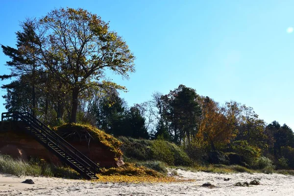 Malebný Pohled Dřevěné Schodiště Podél Zelených Stromů Písečné Pláži Slunečného — Stock fotografie