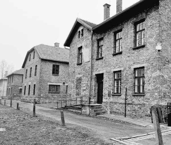 Szare Ujęcie Obozu Koncentracyjnego Auschwitz Jesienią — Zdjęcie stockowe