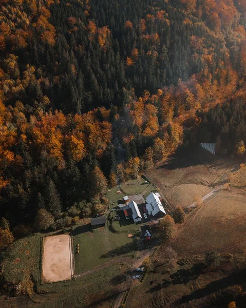 Una Vista Aérea Vertical Cabañas Madera Bosque República Checa Día —  Fotos de Stock