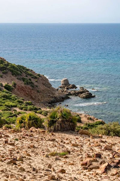 Вертикальный Снимок Солнечного Скалистого Побережья Летний День Кеф Аббеде Тунис — стоковое фото
