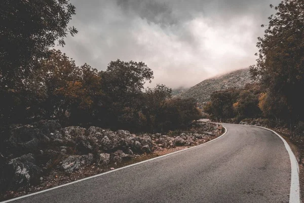 Camino Montaña Asfalto Rodeado Árboles Contra Cielo Nublado Editado Estilo —  Fotos de Stock