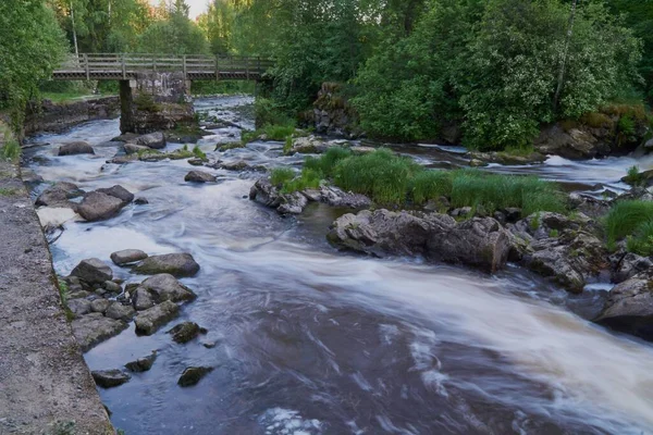 Ein Fluss Fließt Durch Einen Wald — Stockfoto
