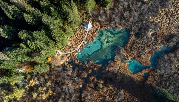 Vue Aérienne Incroyable Lac Turquoise Réserve Naturelle Zelenci Slovénie — Photo