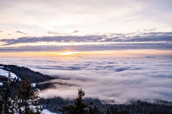 Живописный Снимок Леса Снежной Горе Облаках — стоковое фото