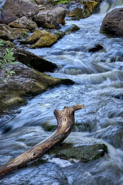 Eine Malerische Aufnahme Von Treibholz Auf Einem Felsigen Fluss Mit — Stockfoto