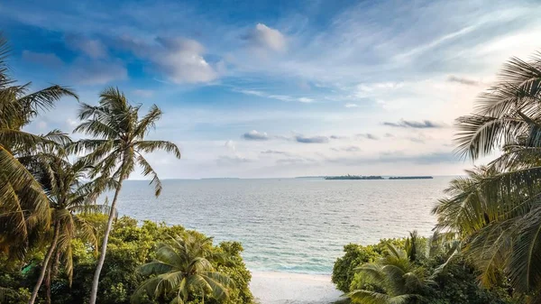 Een Natuurlijk Uitzicht Palmbomen Kamadhoo Eiland Baa Atoll Malediven Tijdens — Stockfoto