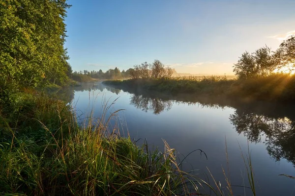 Eine Malerische Aufnahme Eines Flusses Umgeben Von Vegetation Mit Dünnem — Stockfoto