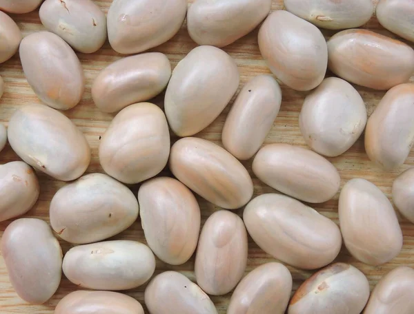 成熟的山核桃籽是可食用的 — 图库照片