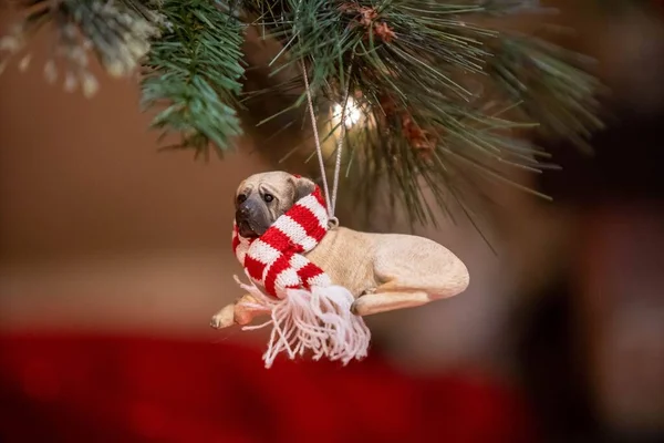 在模糊的背景上挂在圣诞树上的一只小狗的圣诞装饰品 — 图库照片