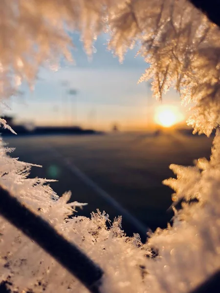 Близько Нас Постріл Сніжинки Мороз Ланцюговому Паркані Сонцем Піднімається Задньому — стокове фото