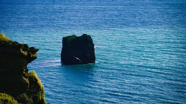 青い海の岩の上を飛ぶカモメの眺め — ストック写真