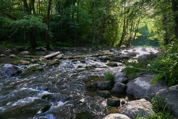 Река Протекающая Через Лес — стоковое фото