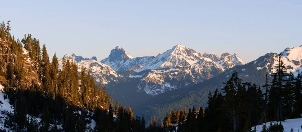 Eine Panoramaaufnahme Des Schneebedeckten Mount Baker Der Von Einem Immergrünen — Stockfoto