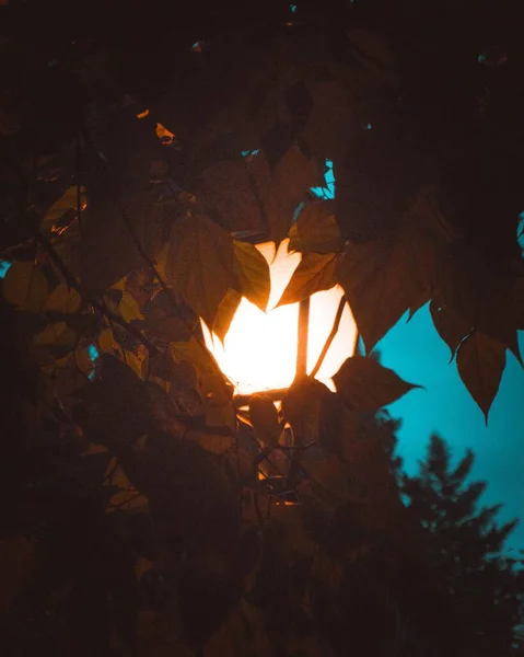 Громадське Світло Вночі Восени — стокове фото