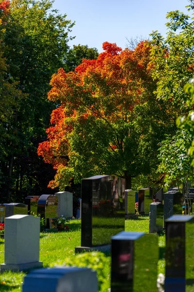 カナダ国立墓地のブナの木墓地秋の季節の色 — ストック写真