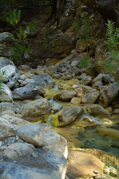 ギリシャの公園の流れに大きな岩や小さな緑の植物の垂直ショット — ストック写真