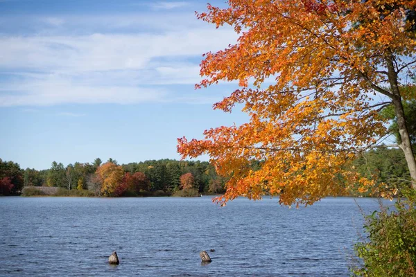 Живописный Вид Озеро Окруженное Деревьями Осенью Солнечный День — стоковое фото