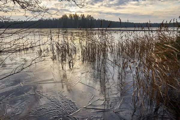 Красивый Снимок Озера Фоне Деревьев Время Заката Зимой — стоковое фото