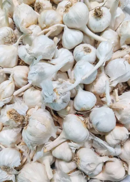 Tiro Close Vertical Grupo Garlics — Fotografia de Stock