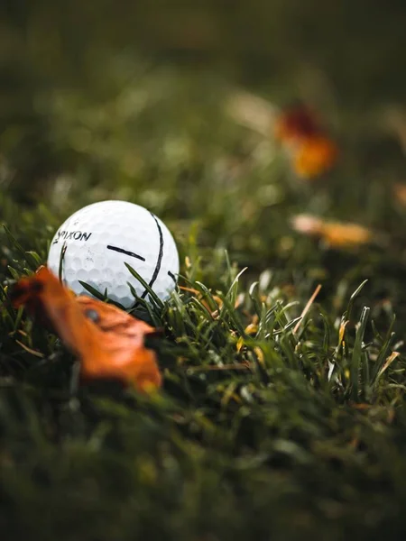 Plan Vertical Une Balle Golf Côté Une Feuille Orange Tombée — Photo
