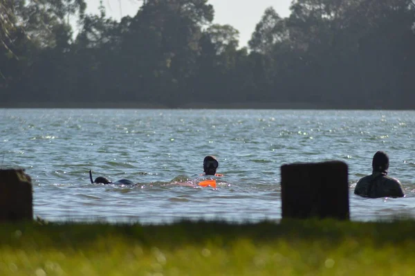 ドックの近くの湖で泳いでいる人々のグループ — ストック写真