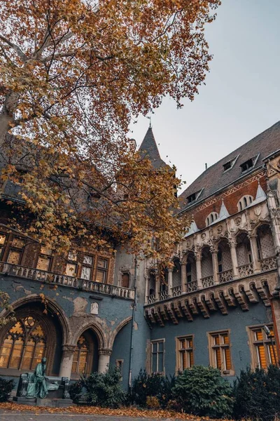 Die Burg Vajdahunyad Umgeben Von Wunderschönen Herbstbäumen Budapest Ungarn Vertikale — Stockfoto