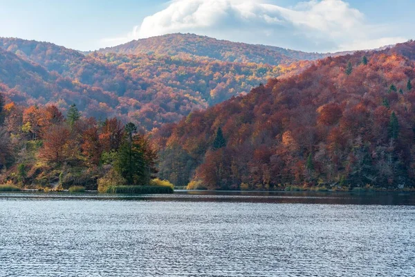 Eine Wunderschöne Landschaft Des Herbstwaldes Hang Ufer Eines Sees — Stockfoto