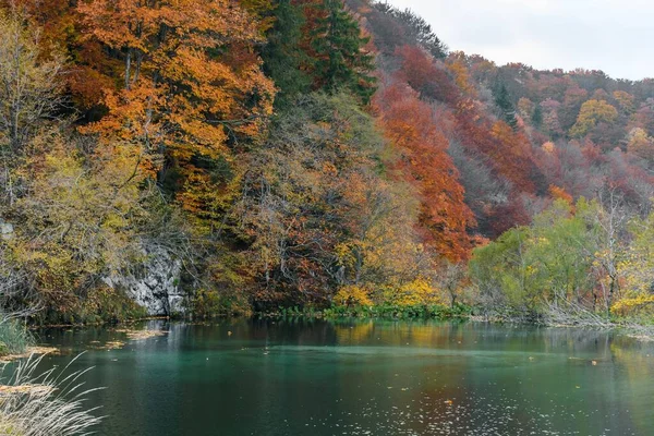 Eine Wunderschöne Landschaft Des Herbstwaldes Ufer Eines Sees — Stockfoto