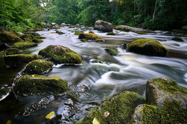 森の中を流れる川のクローズアップ — ストック写真