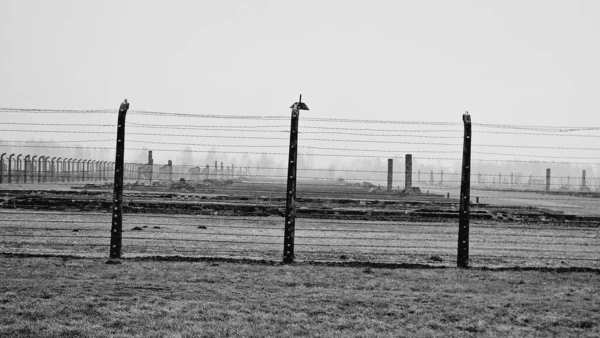 Polonya Nın Oswiecim Kentindeki Bir Çitin Ardından Auschwitz Toplama Kampındaki — Stok fotoğraf