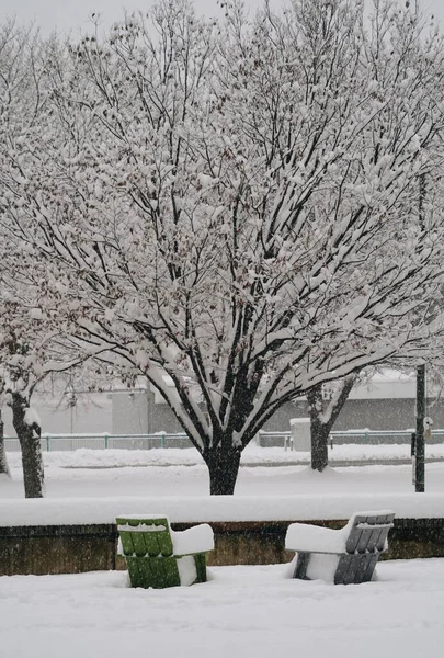 Снежная Буря Захвачена Перед Зданием Школы Менеджмента Mit Sloan — стоковое фото