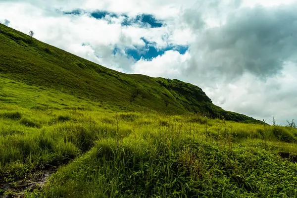 Una Splendida Vista Campo Verde Una Giornata Nuvolosa — Foto Stock