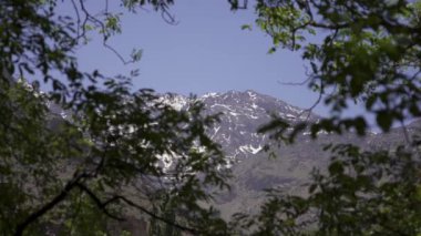 Yoğun ağaçlı yeşil dağ manzarası