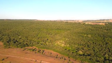 Güneşli bir günde, tarımsal tarlalarla çevrili sık bir ormanın üzerinde zum yapan bir hava manzarası.