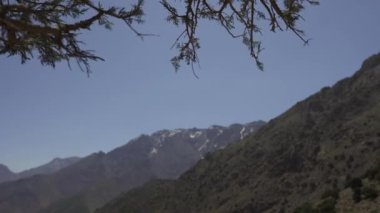 Rüzgar, Kuzey Afrika 'nın Fas' taki en yüksek dağı olan Toubkal 'ın manzarasına sahip dalları hareket ettiriyor..