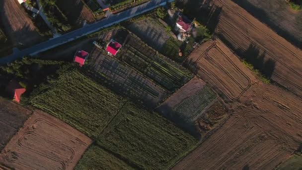 Luchtfoto Van Een Landelijk Gebied Met Landbouwvelden Langs Landelijke Weg — Stockvideo