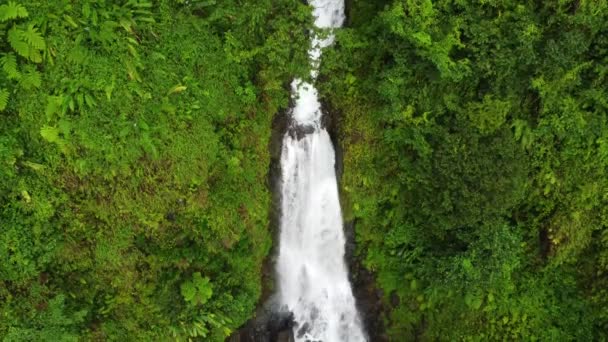 Gyönyörű Kilátás Tájra Vízesés Folyik Lefelé Vadon Erdejében — Stock videók