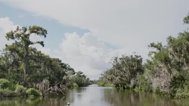 Une Vue Drone Sur Marais Nouvelle Orléans Louisiane — Video