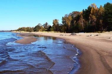 Ağaçların yanında, açık mavi gökyüzünün altında boş bir sahil.