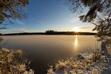 Gün doğumunda çevresi bitki örtüsüyle çevrili ince buzla kaplı bir nehrin manzaralı bir görüntüsü.